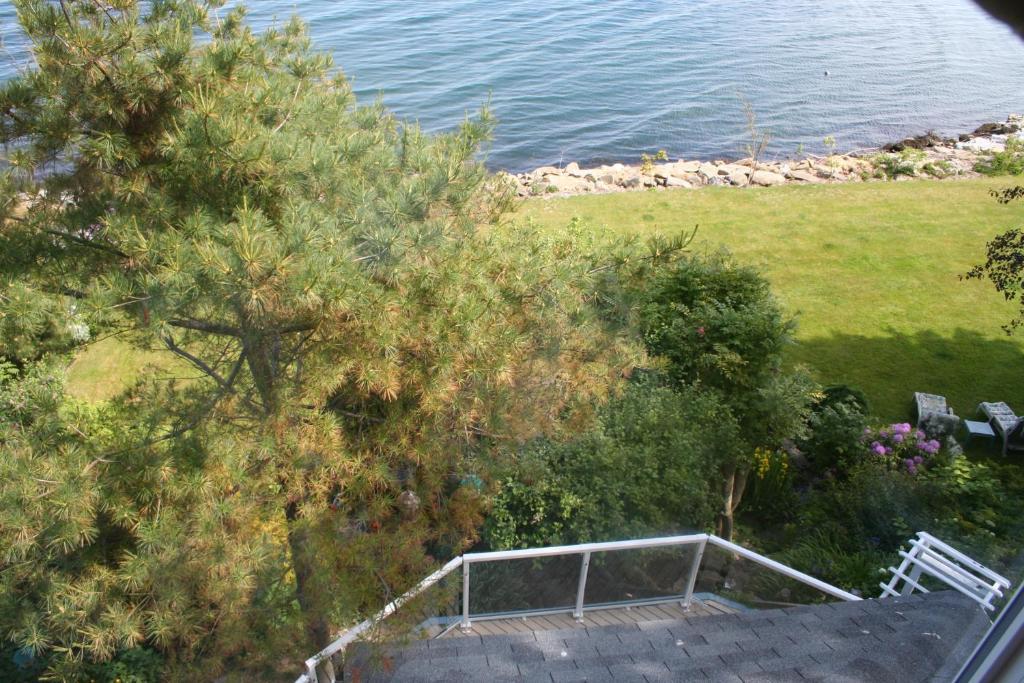 A Boat To Sea Bed & Breakfast North Sydney Zewnętrze zdjęcie