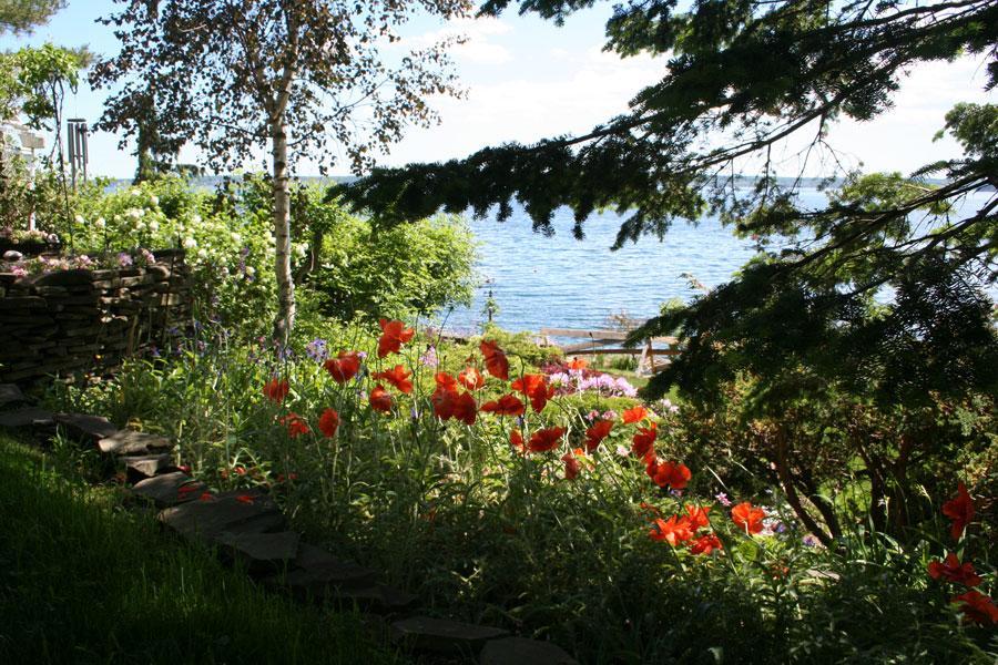 A Boat To Sea Bed & Breakfast North Sydney Zewnętrze zdjęcie
